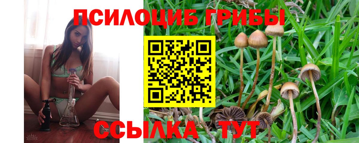 Галлюциногенные грибы MAGIC MUSHROOMS  Вход с VPN  Магадан 